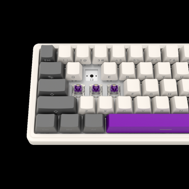 LORGAR KBP70MW, Wireless 65% Mechanical Gaming Keyboard Pro, Beige, EN layout - EP2850584