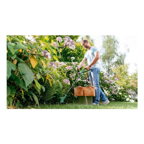 BOSCH Aku trimer za travu 18V 1x2.0Ah EasyGrassCut 18V-260 - 06008C1C05