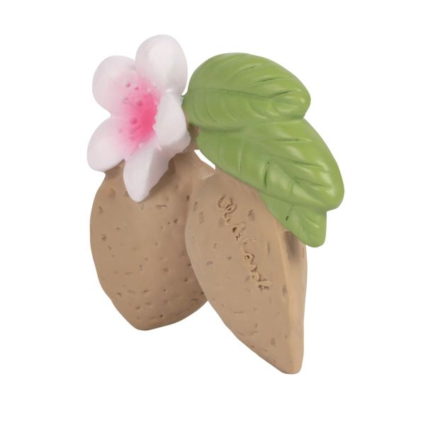 OLI AND CARROL Glodalica badem Aly - 31-1