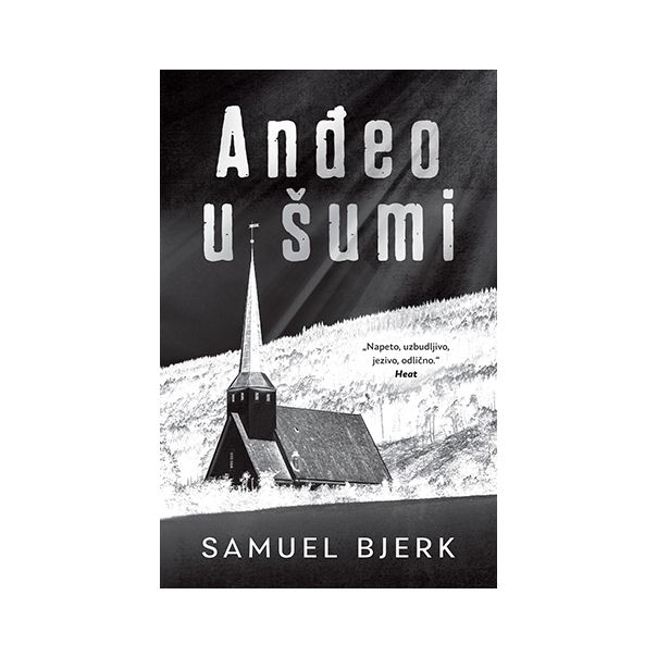 Anđeo u šumi - 9788652139484