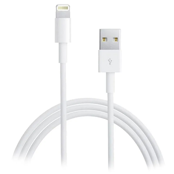 APPLE Punjač Lightning na USB, md819zm/a, 2 m - EP155254