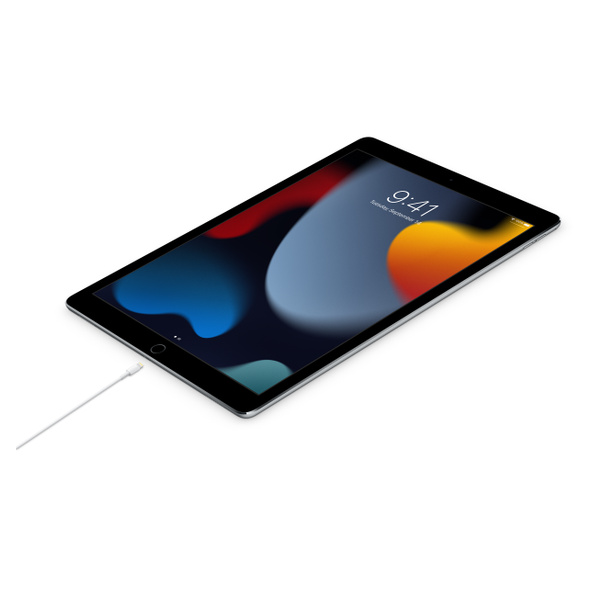 Apple data kabl Type C na Lightning 1m (MX0K2ZM/A) - 212823
