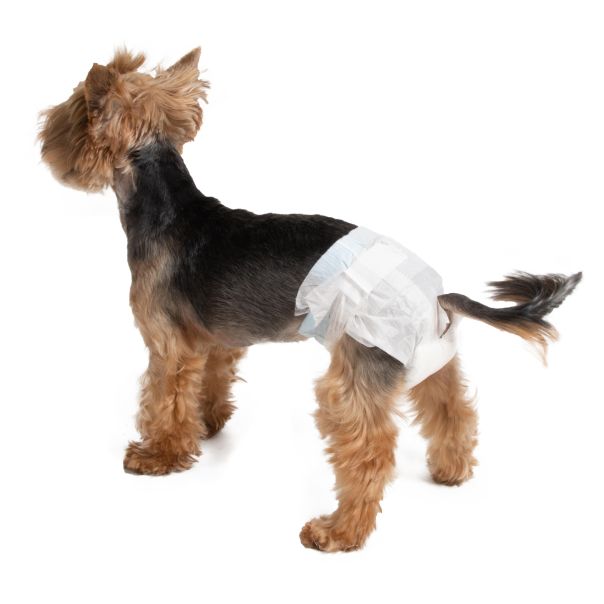 Farmcompany Pelene ženske gaće M/L     B-VAR250 - 8058773557865