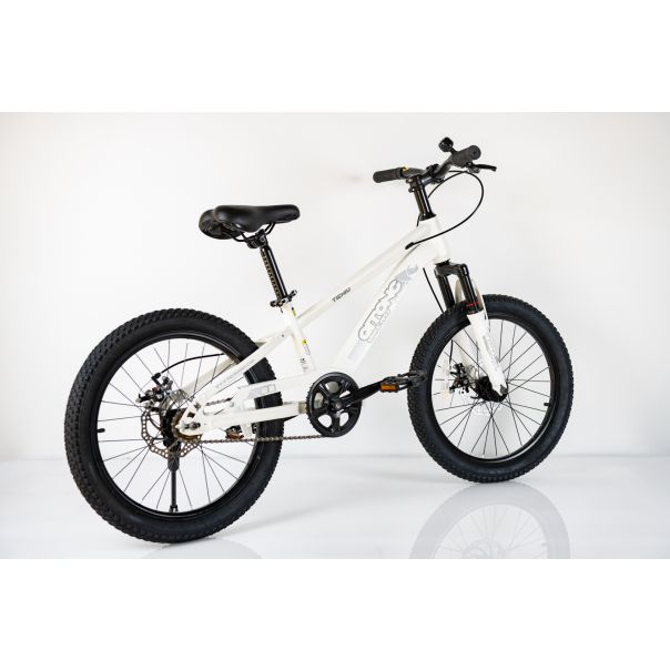 WINNER BIKE BIC.20/1-TN26Q03-WHITE - EP3190313