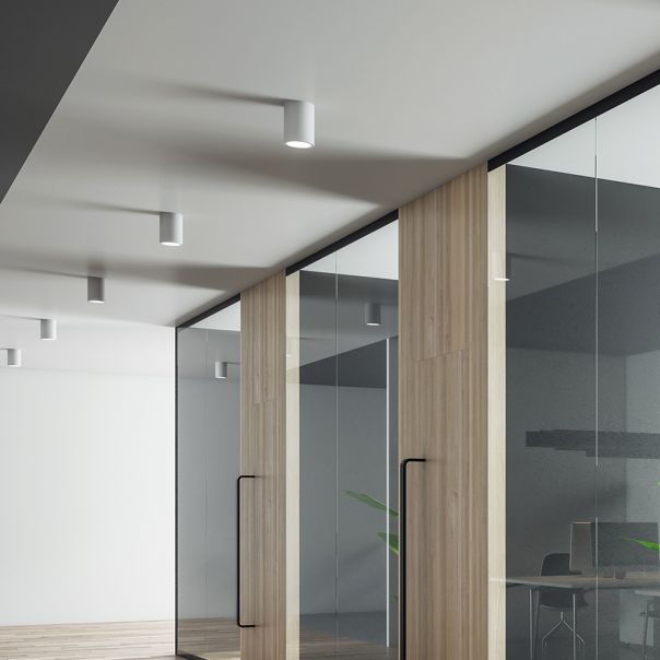 BRAYTRON LED spot svetiljka BRY-GAMA-5510-RND-WHT-GU10 - BH04-00500