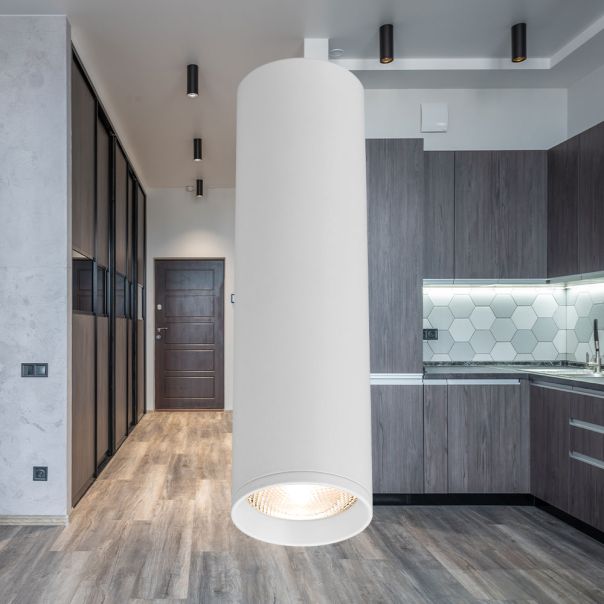 BRAYTRON LED spot svetiljka BRY-GAMA-5520-RND-WHT-GU10 - BH04-00560