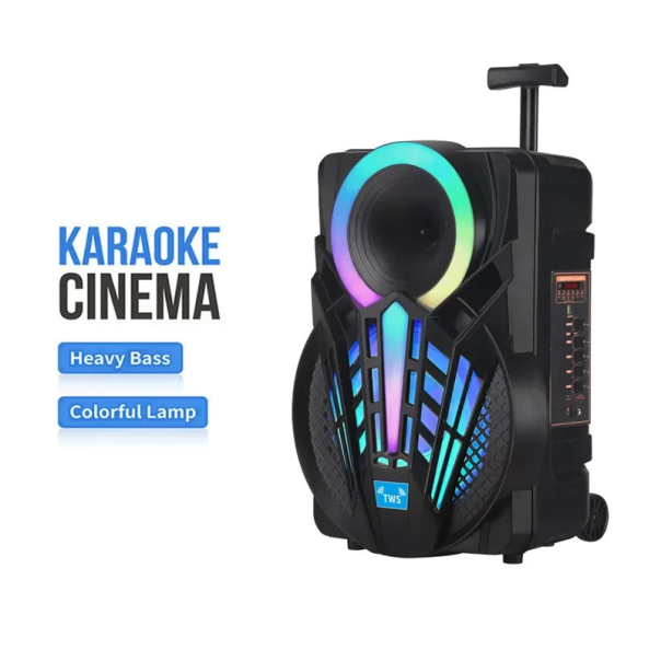 Bluetooth zvučnik karaoke set sa mikrofonom NDR-P08 crni - 605935