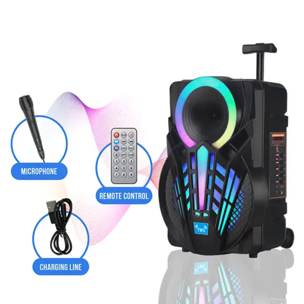Bluetooth zvučnik karaoke set sa mikrofonom NDR-P08 crni - 605935