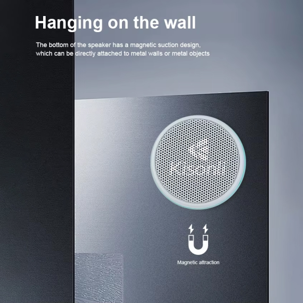 Bluetooth zvučnik Kisonli C100 crni - 223080