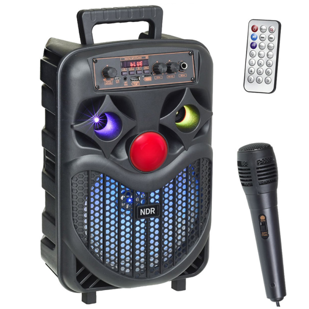 Bluetooth zvucnik NDR-P66 - 207826