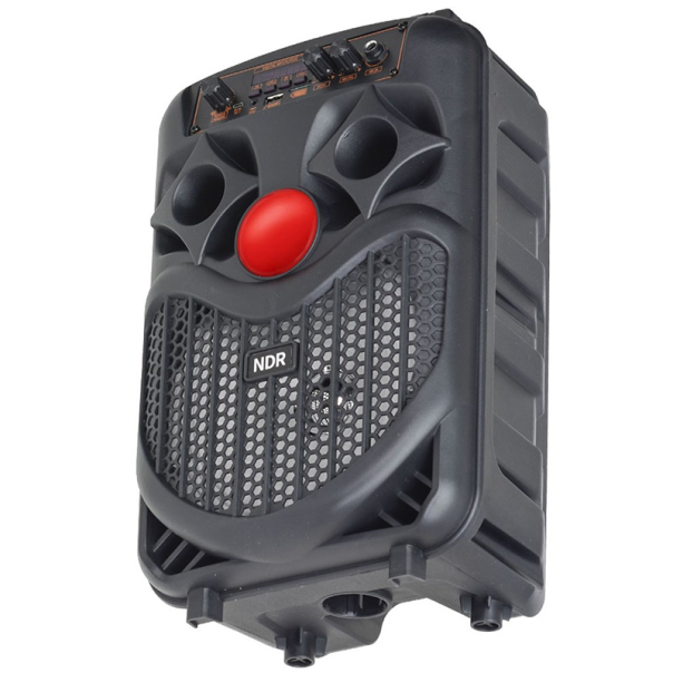 Bluetooth zvucnik NDR-P66 - 207826