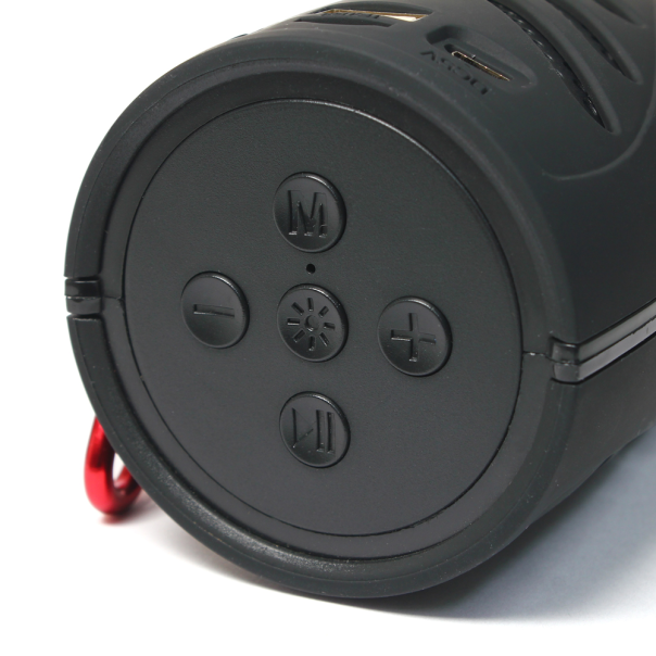 Bluetooth zvucnik RGK-224 - 99328