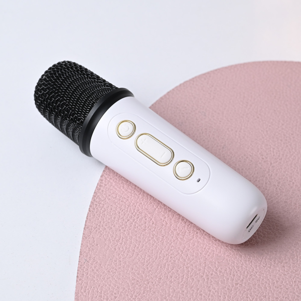 Bluetooth zvucnik BS2632 - 220769