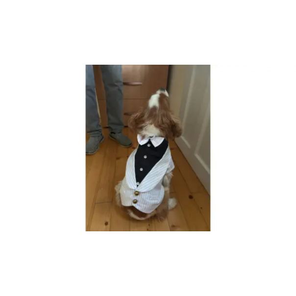 DOGGYDOLLY Svečano odelo za psa 30 CM, FRAK - EP3308435