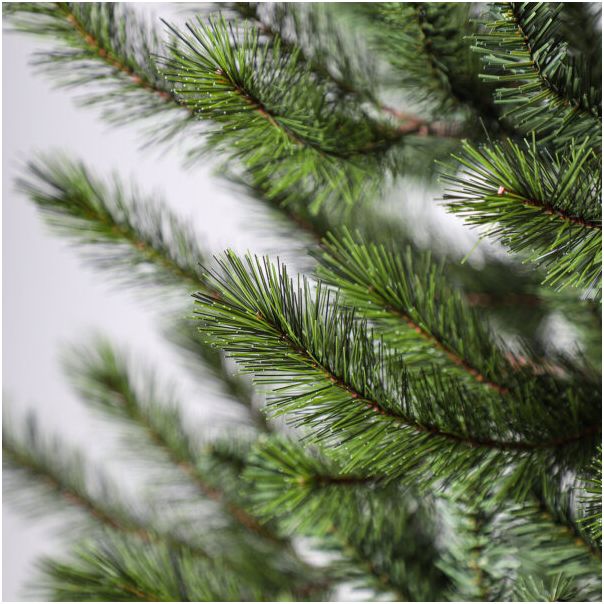 Nero Novogodišnja jelka Narrow Pine 240cm - 9260