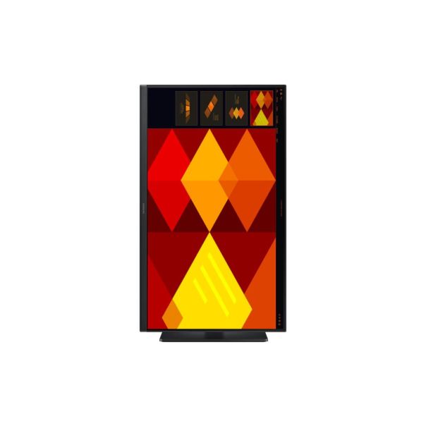 Samsung Monitor 24