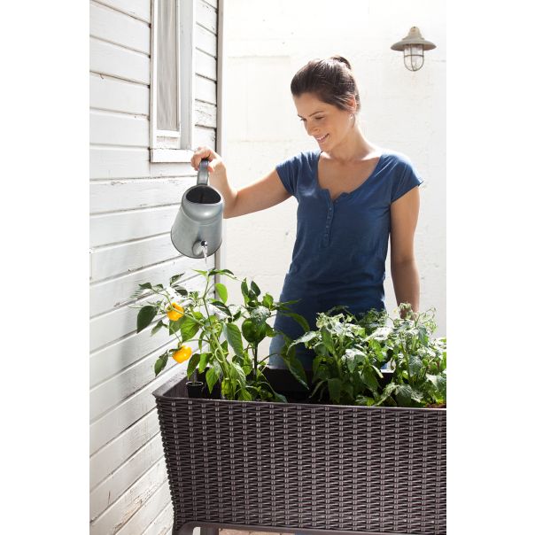 KETER Saksija za mini baštu Easy grow 120L, viski braon CU 230297 - CU 230297
