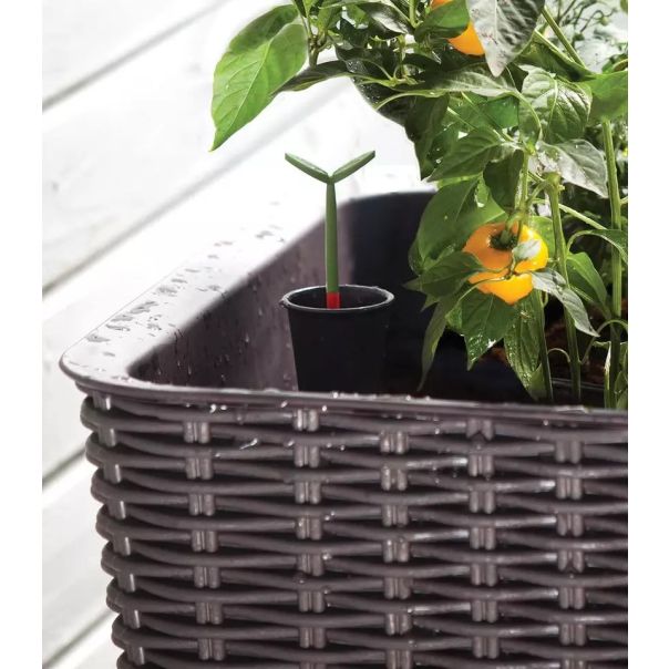 KETER Saksija za mini baštu Easy grow 120L, viski braon CU 230297 - CU 230297