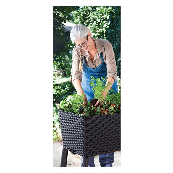 KETER Saksija za mini baštu Easy grow 120L, grafit CU 230298 - CU 230298