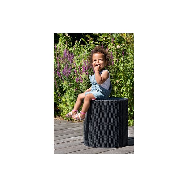 KETER Baštenski tabure frigo Cool Stool 39L, grafit - CU 230905