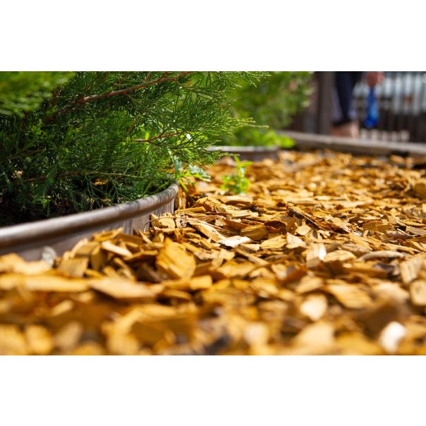 IDEAL Malč 25L Žuti - MČMalčžuti