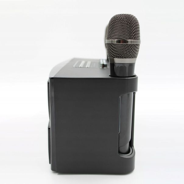 Bluetooth zvucnik sa mikrofonom YS201 crni - 214332