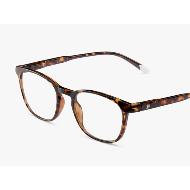 BARNER Zaštitne naocare Dalston/Glossy Tortoise - EP3185515