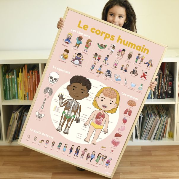 Edukativni poster s nalepnicama Otkrića: Ljudsko telo 4+ - DIS011