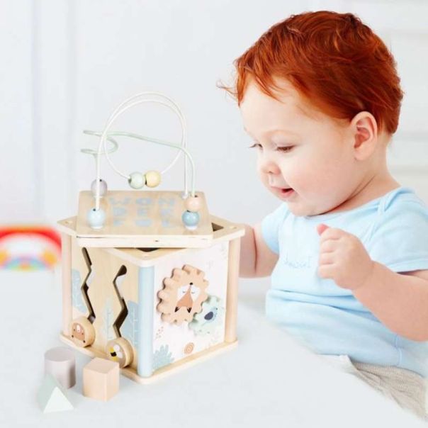 ECO TOYS Drvena edukativna kocka za decu - 1001-1-1-1