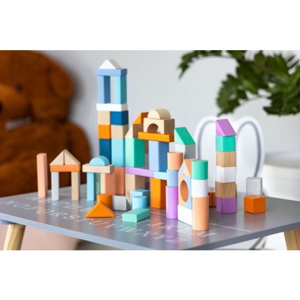 ECO TOYS Drvene kocke sa kanticom i sorterom oblika, 100 delova - 2505