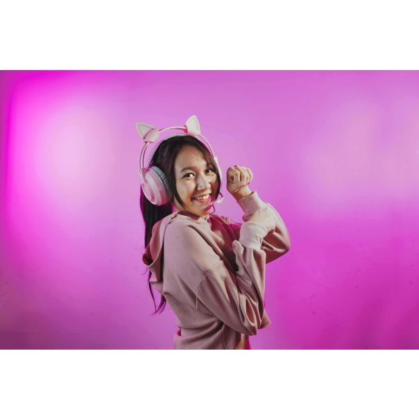 FANTECH Fantech Meow AC5001 Kitty ears - FT98340