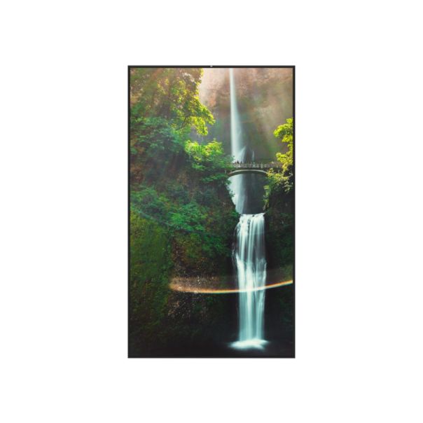 HISENSE Digital signage 55