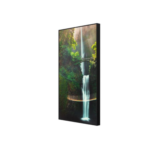 HISENSE Digital signage 55