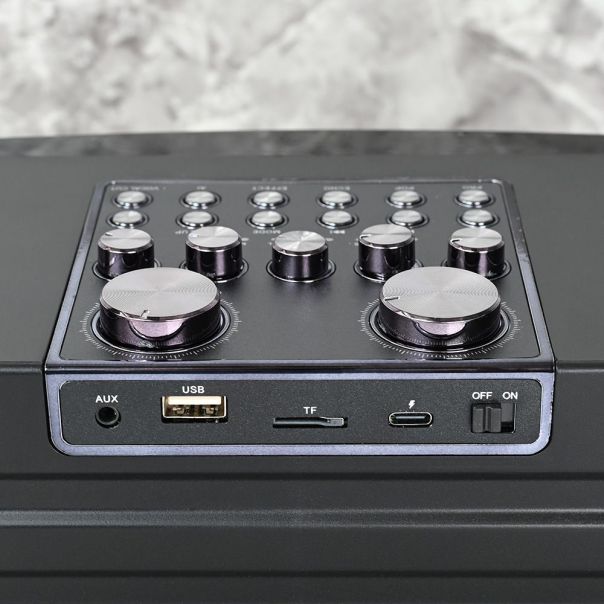 Bluetooth zvucnik sa mikrofonom YS201 crni - 214332