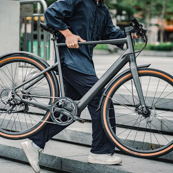 Elektricni bicikl Fiido C21 sivi - 621915