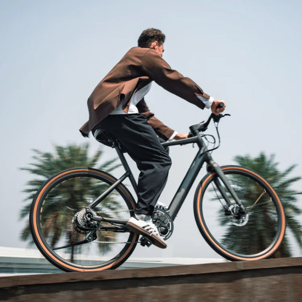 Elektricni bicikl Fiido C21 sivi - 621915