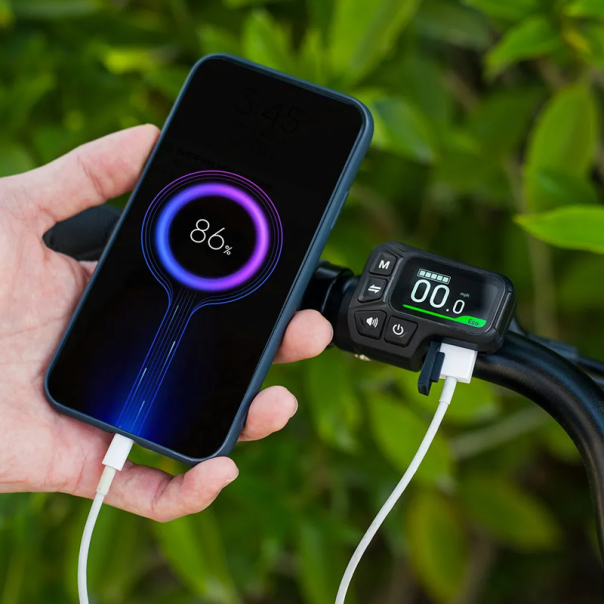 Elektricni bicikl Fiido C11 plavi - 621914