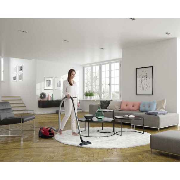 ELECTROLUX Usisivač sa kesom EPF61RR - EPF61RR