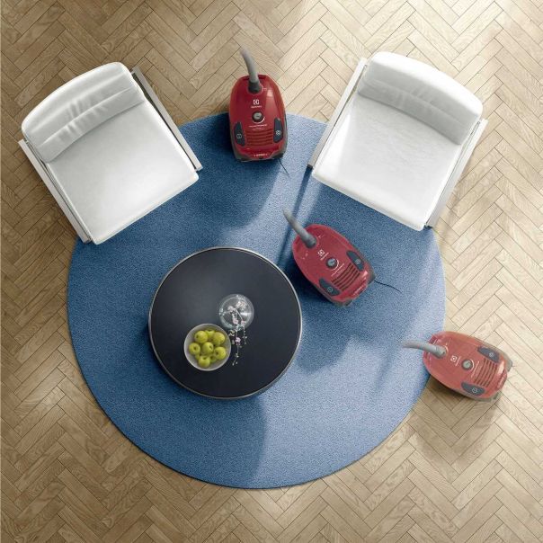 ELECTROLUX Usisivač sa kesom EPF61RR - EPF61RR