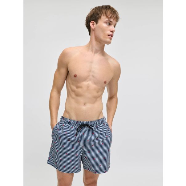 JJ REBEL SWIM ŠORC HAWAII PRINT PLAVI XL - EP3068631