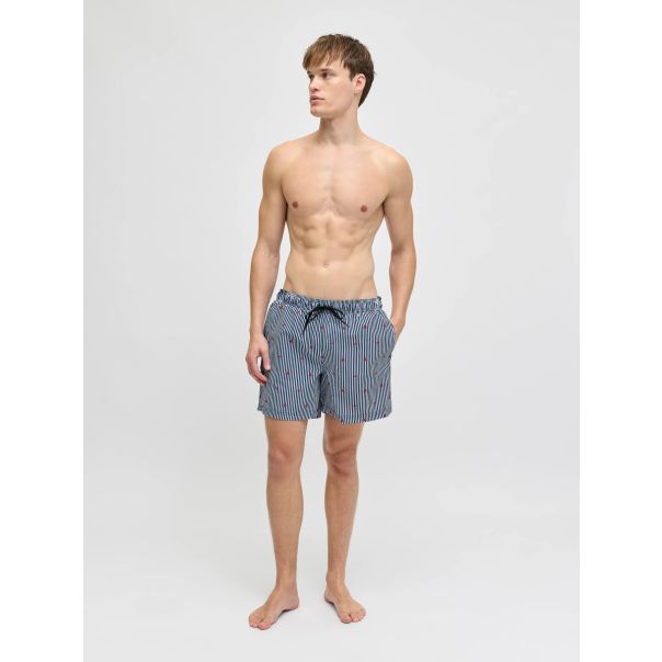 JJ REBEL SWIM ŠORC HAWAII PRINT PLAVI XL - EP3068631
