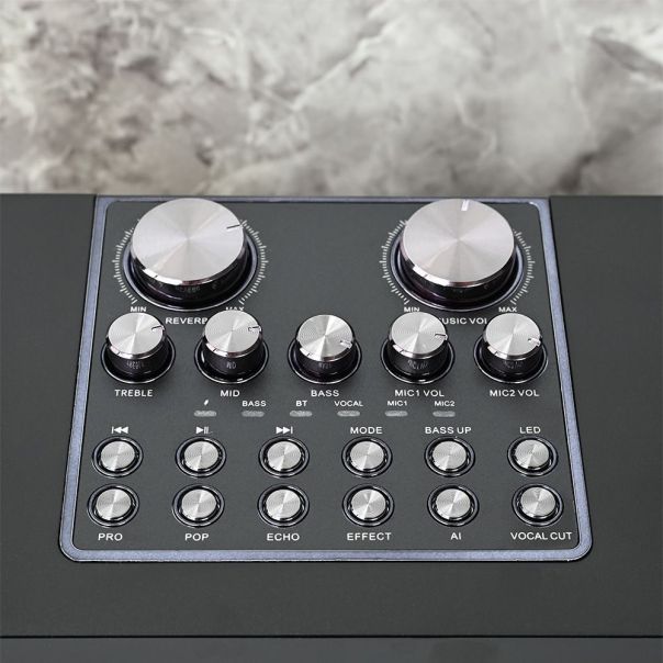 Bluetooth zvucnik sa mikrofonom YS201 crni - 214332