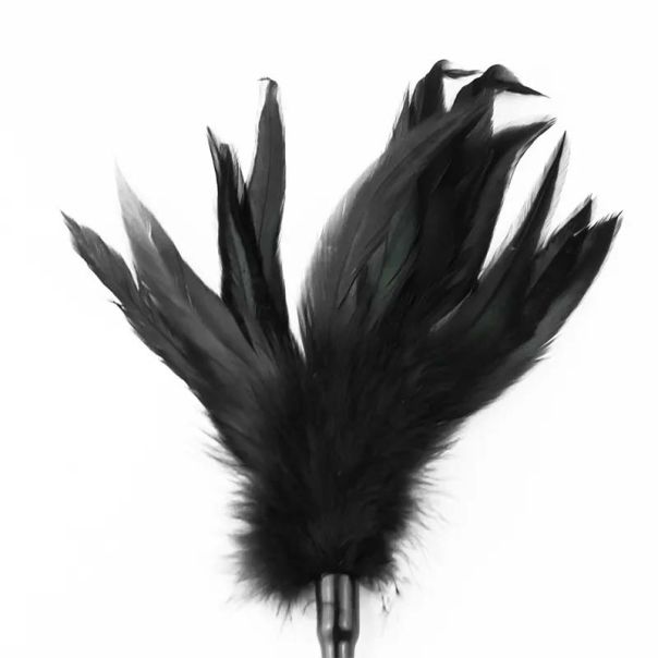 Bič i golicaljka Crop and Feather Tickler - ff001077