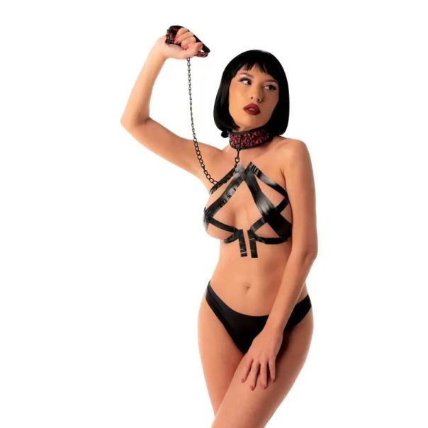 Crveni povodac Red Collar and Leash - ff001038