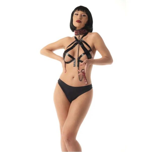 Crveni povodac Red Collar and Leash - ff001038