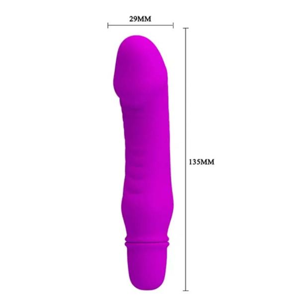Mali ljubičasti vibrator 10 funkcija vibracije - 014510