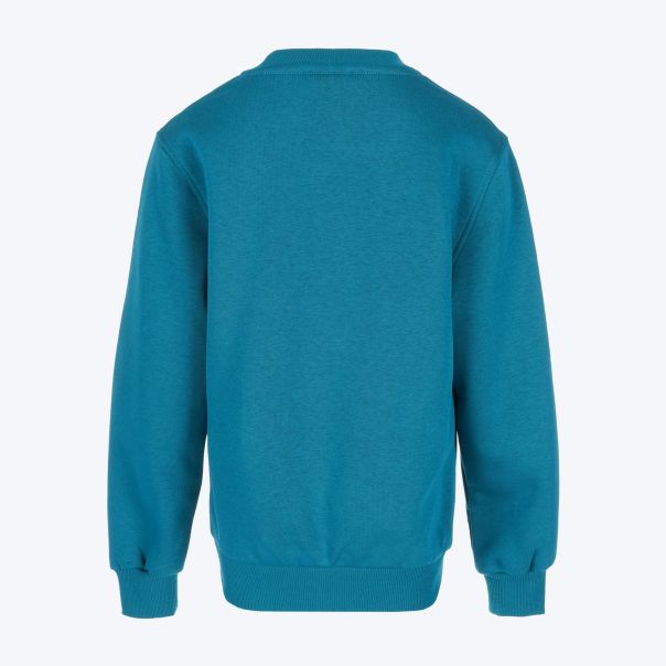 NIKE Duks nsw club flc crew ls lbr BG - FD3006-372