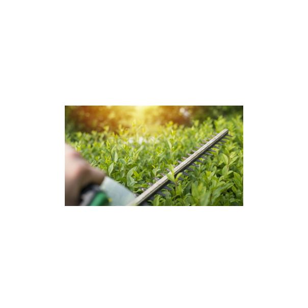 FIELDMANN Benzinski trimer za ogradu FZN 4006-B - ALA00029