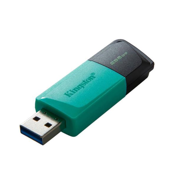 KINGSTON USB Flash memorija Data Traveler Exodia  3.2 256GB DTXM/256 M - EP3107402