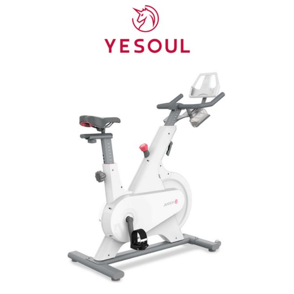YESOUL Sobni bicikl M1 Spinning Bike White - FT00099